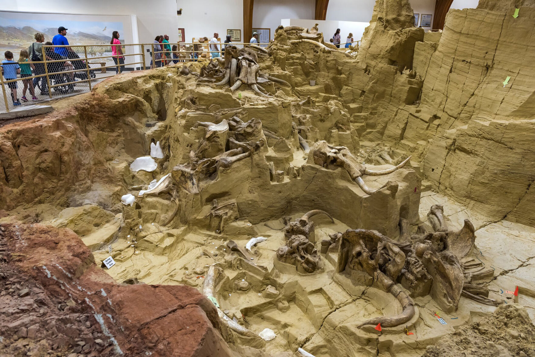 6. The Mammoth Site, Hot Springs